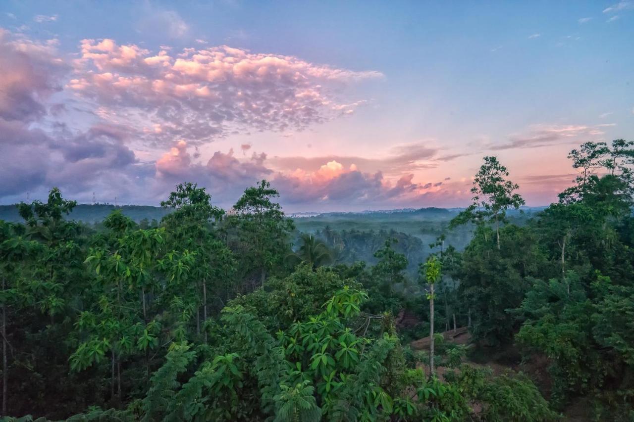 Villa Amma Erna - กอลล์ ภายนอก รูปภาพ