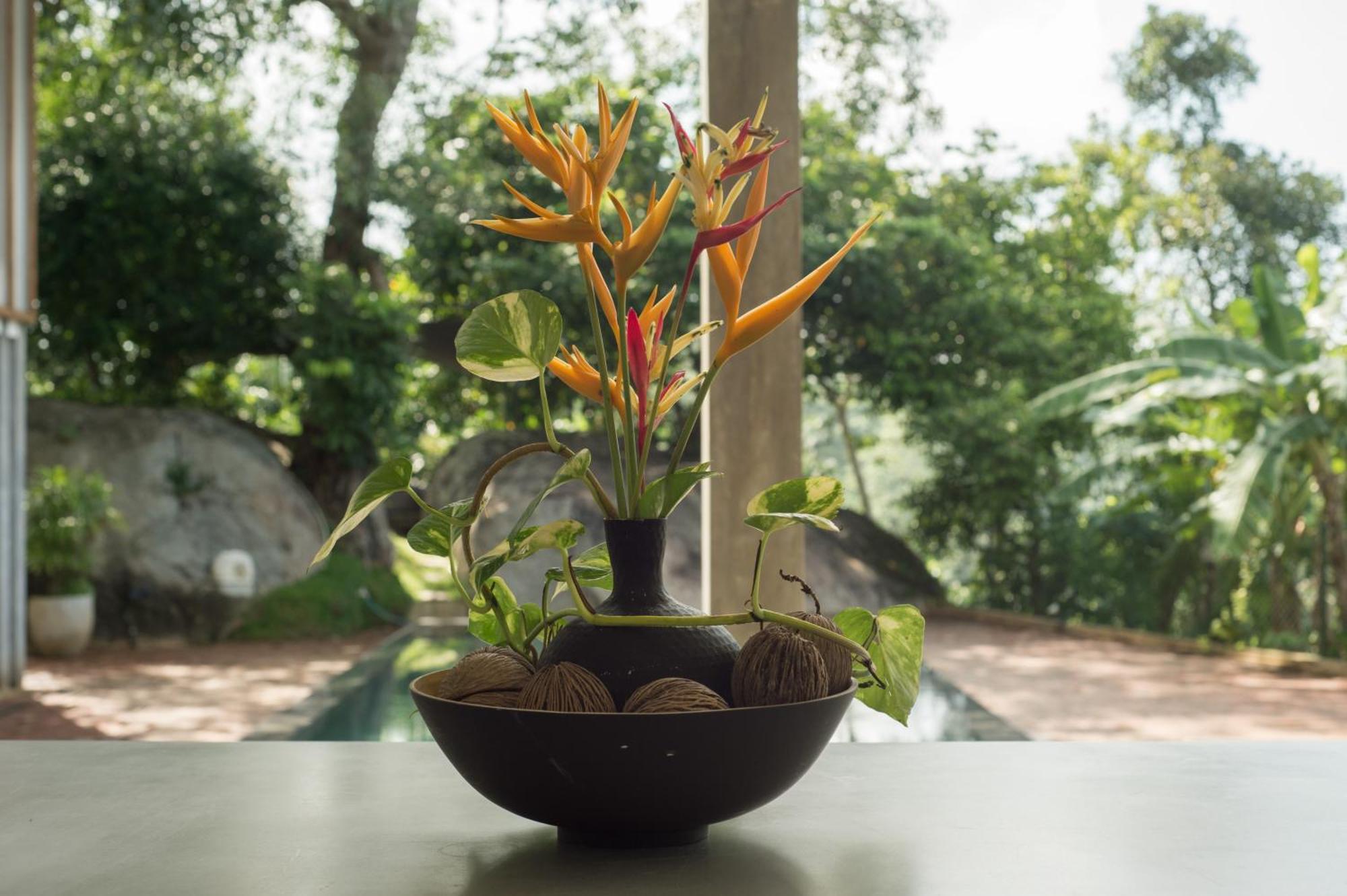 Villa Amma Erna - กอลล์ ภายนอก รูปภาพ